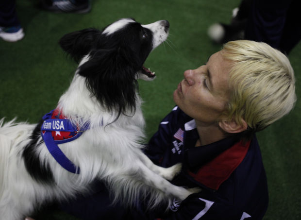 South Africa World Dog Agility Champs